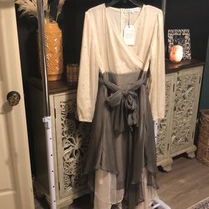 COPY - Ivy City Co. dress